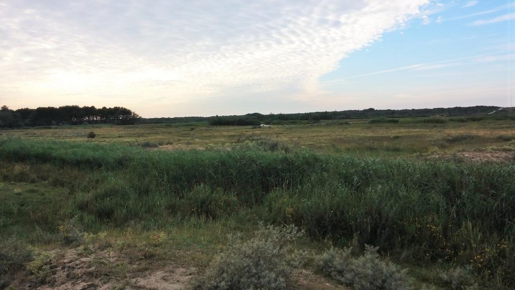 Het Duinhuisje Goedereede Quarto foto