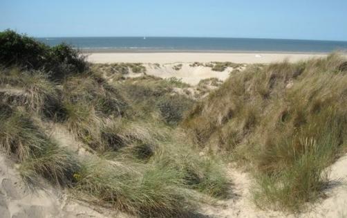 Het Duinhuisje Goedereede Exterior foto